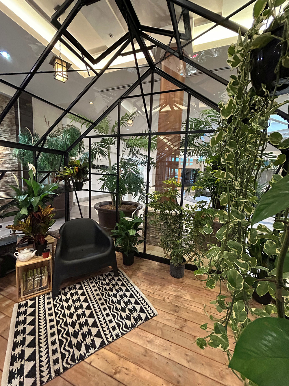 Finalistes locaux - Création d'entreprise