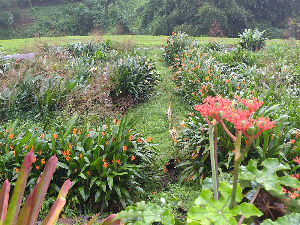 Finalistes locaux - Création d'entreprise